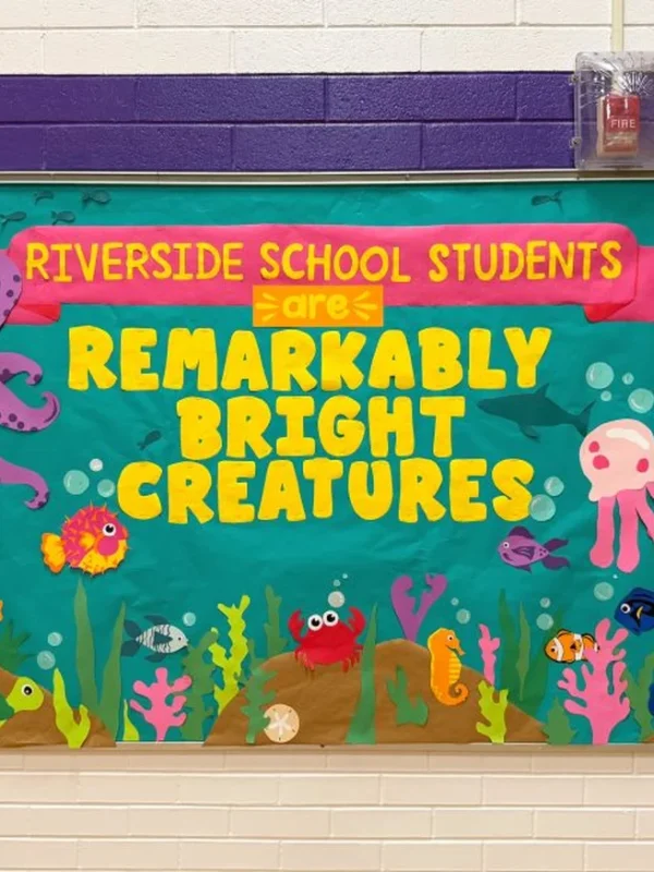 How to Make an Under the Sea Bulletin Board with Paper, Scissors & Glue